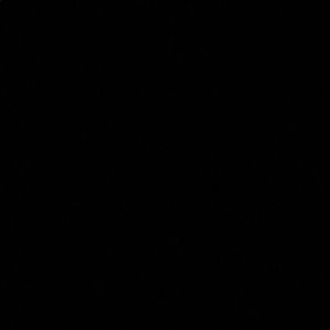 Meet your Posher, Jaylee